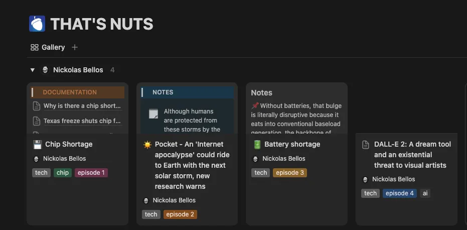 Organizing process of researched material at Notion ALT